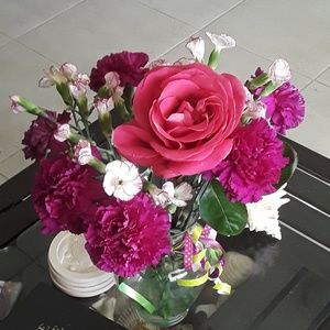 Meet your Posher, Bailey